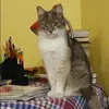 Отзыв от Александра Хромова